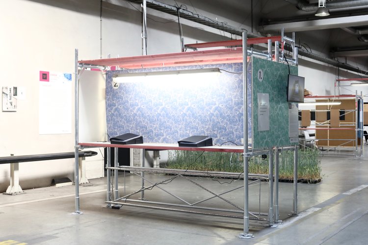 The Bear & Co operator’s station installation: a scaffold-style frame with illuminated workspace and two terminals for participant engagement.